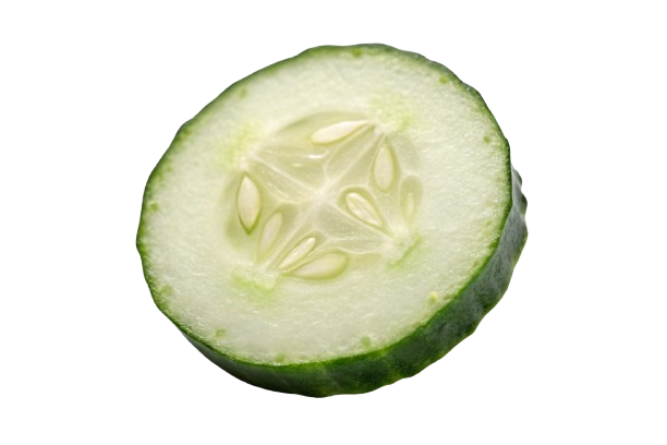 a-cucumber-slice